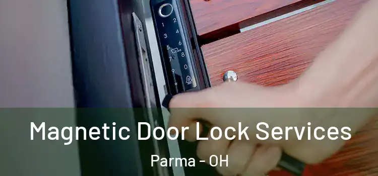 Magnetic Door Lock Services Parma - OH