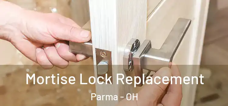 Mortise Lock Replacement Parma - OH